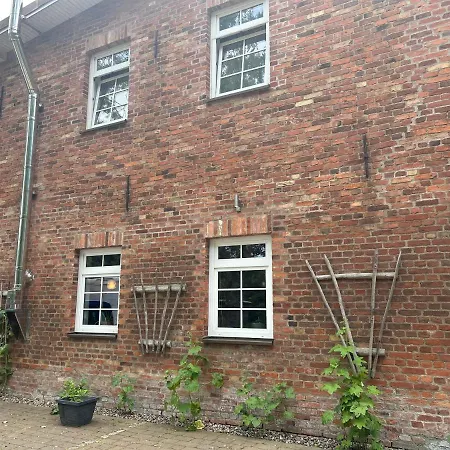 Ferienwohnung Baabe Altefähr Buitenkant foto